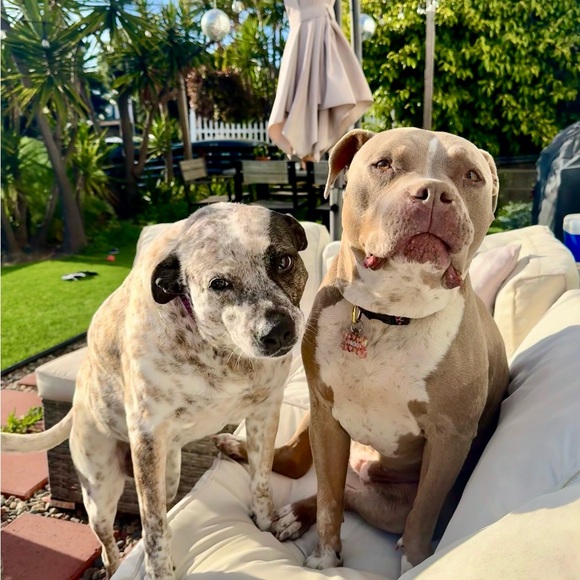 Meet your Posher, Alex - Picture 5 of 8